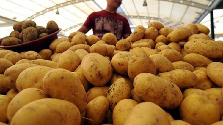 Kuraklık patates üreticisini etkilemedi