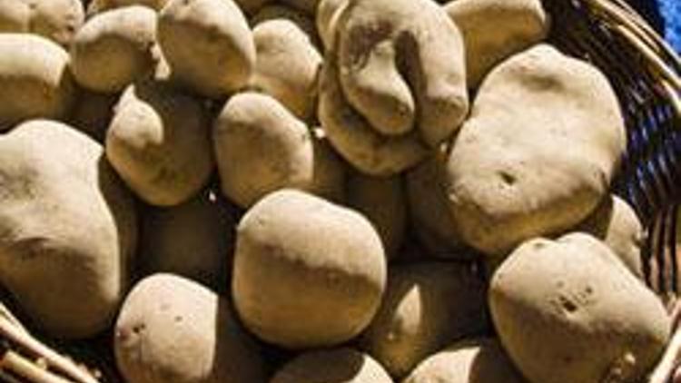 Zarar eden çiftçi patates ekmedi fiyatlar arttı