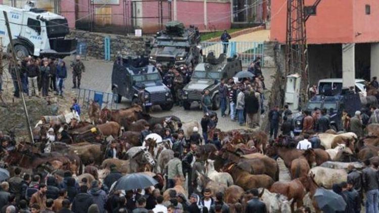 Şırnak Valisinden ölü katır açıklaması