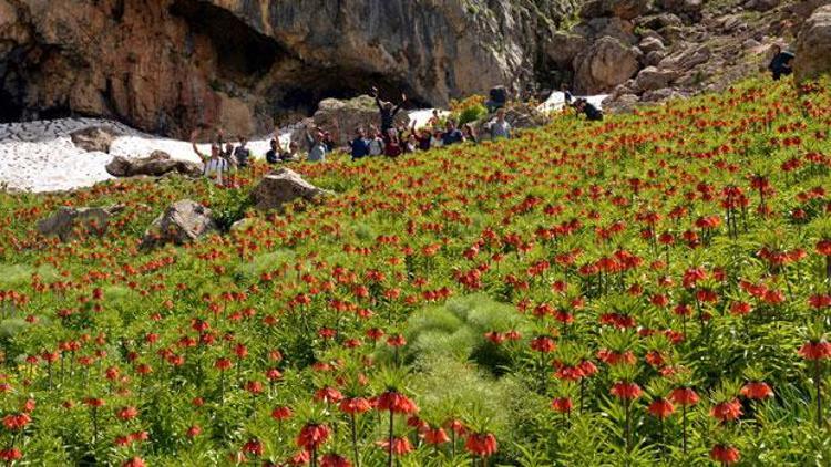 Tuncelinin dağları ağlayan gelinlerle süslendi