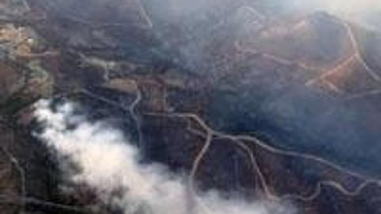 Seferihisarda 700 hektarlık alan yandı