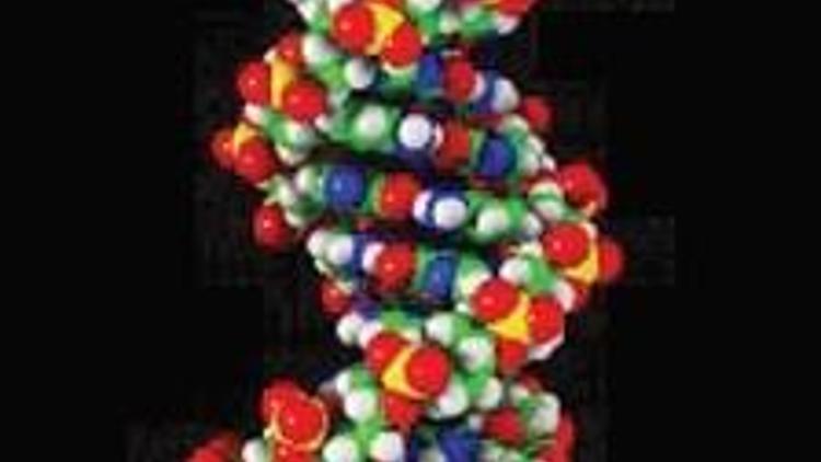 Bilim insanları sahte DNA üretmeyi başardı