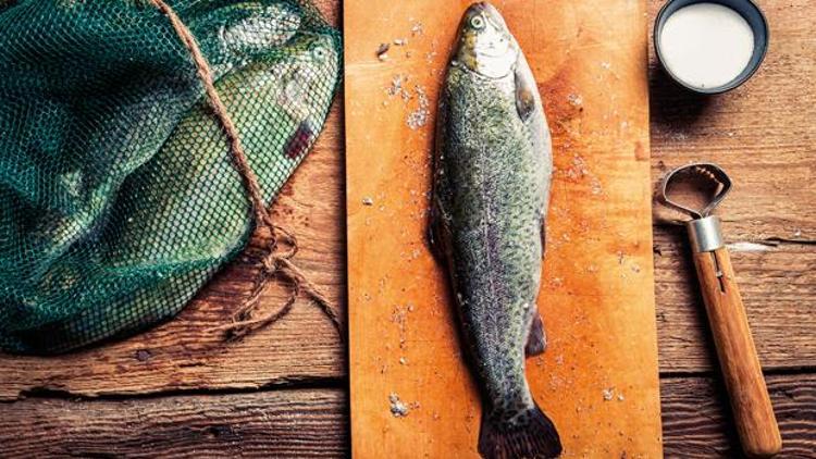 Kültürlü balık mı, kültürsüz balık mı
