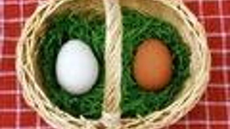 Hile yapılamayan tek gıda; Yumurta