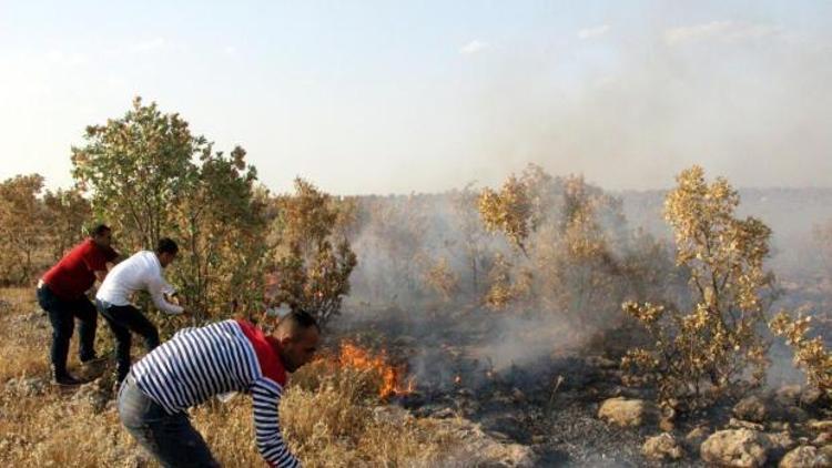 Tunceli ve Nusaybin’de orman yangınları