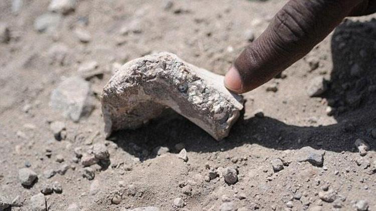Etiyopyada yeni insansı kalıntılar gün ışığına çıktı