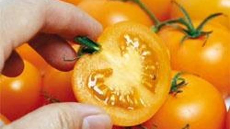 Kalp krizine domates hapı