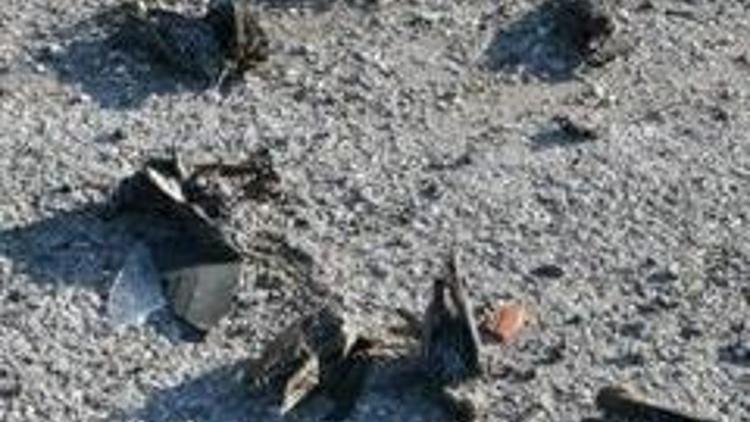 Karacabeyde kuş ölümleri