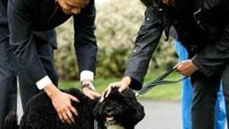 Obamaya köpek eğitmenlerinden kırık not