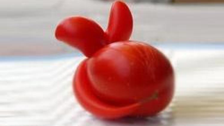 Tavşan domates şaşırtıyor