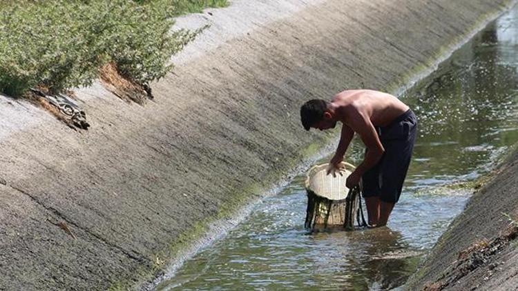 Sepetli balık avı