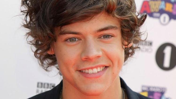 One Directiondan Harry Styles erotik hikâyeye konu oldu