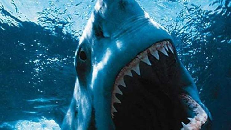 Mısırda köpek balığı saldırısına uğrayan Alman turist hayatını kaybetti