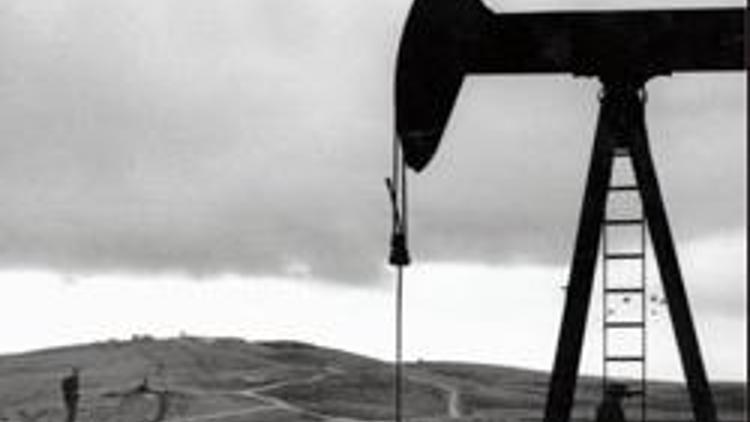Ham petrol ithalatı yüzde 4 arttı