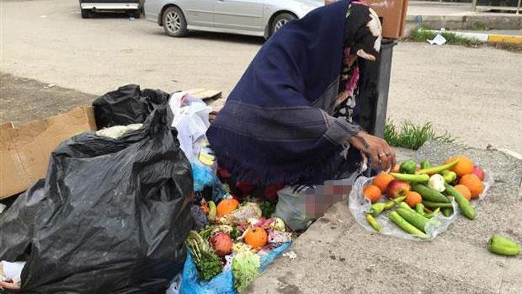 Çöpten meyve sebze toplayan kadın 4 aydır kirasını da ödeyemiyor