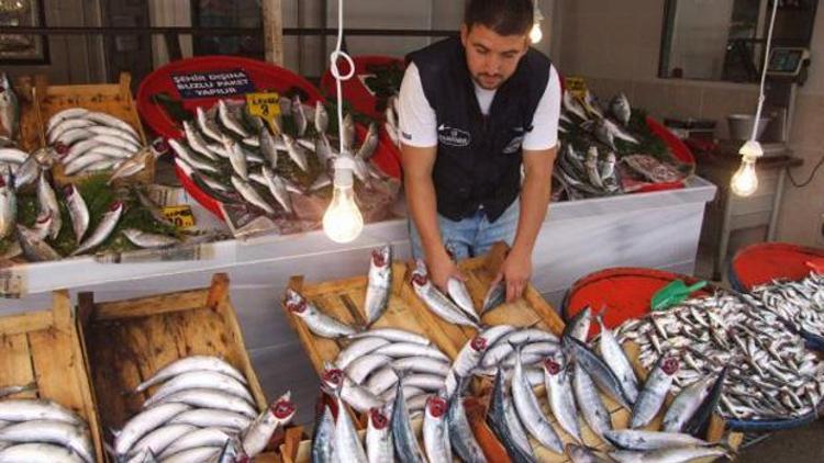 Sezon kapandı, balık fiyatları arttı