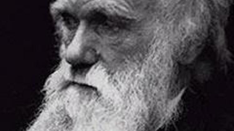 Öğretmene Darwin cezası