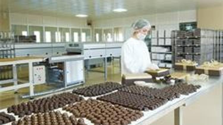 Çikolata fabrikasını internetle kurtardı