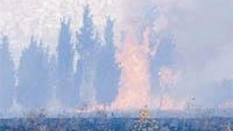 Orman yangını İstanbul’da