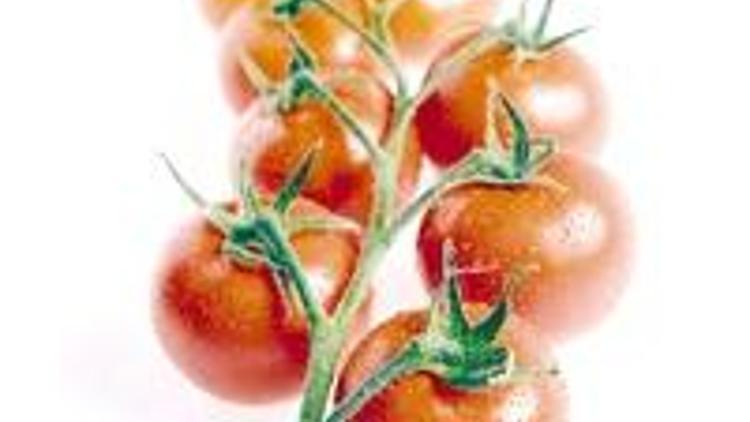 İlaç kalıntısı domatesin içine geçerse, yıkamak fayda etmez