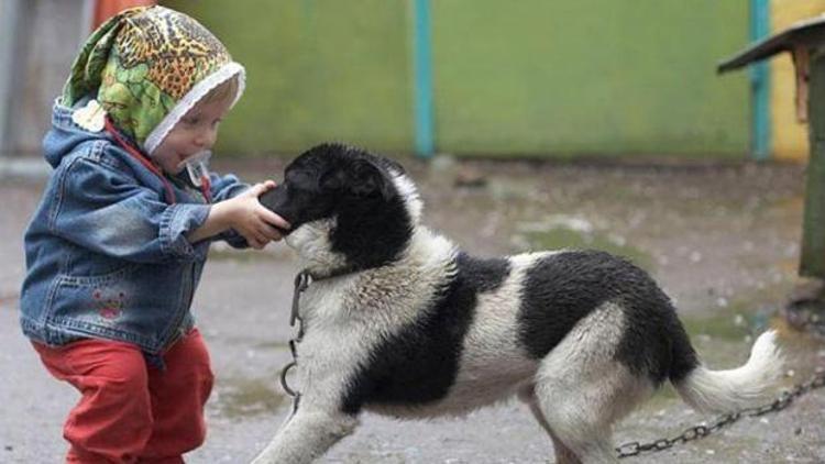 ‘Sokak Hayvanlarıyla Yaşam’ paneli