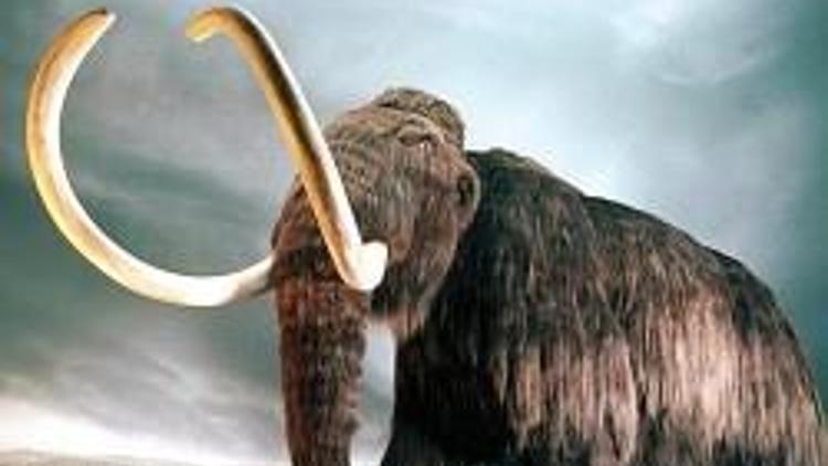 Mikroptan mamut bile çıkabilir