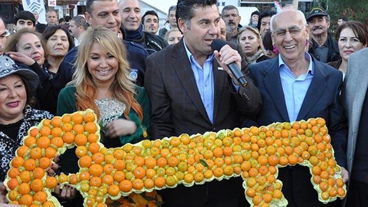 Bodrum’da mandalina şenliği coşkusu