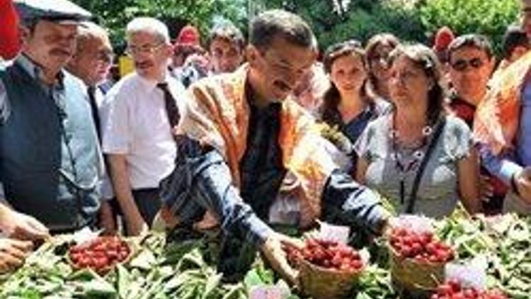 Belenbaşıda kiraz festivali