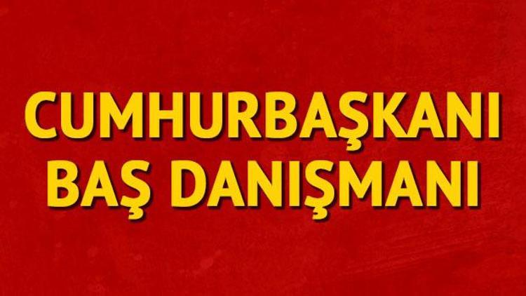 Erdoğanın danışmanından dolar yorumu