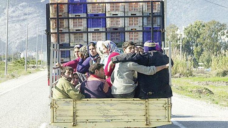 Mevsimlik tarım işçilerinin dramı