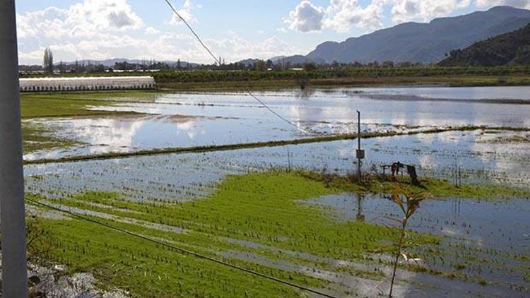 Bodrumda devam eden sağanak yağış tarım arazilerinin su altında kalmasına neden oldu