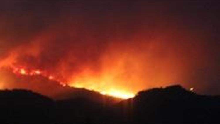 Türkiye-Suriye sınırındaki orman yangını