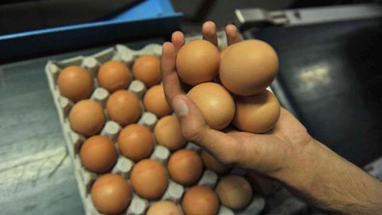 IŞİD yolları kesti, yumurta sektörü çok tedirgin