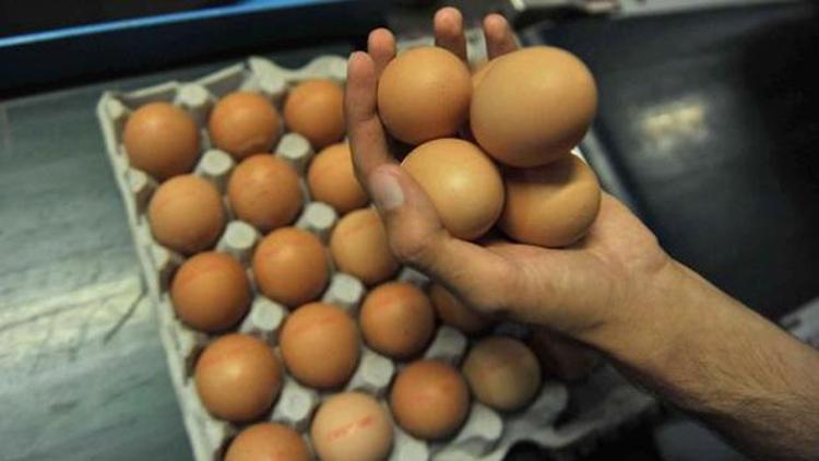 Yumurta sektörü büyümeye devam ediyor