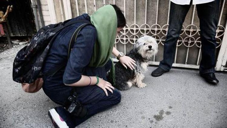 İranda köpekseverler kırbaçlansın teklifi