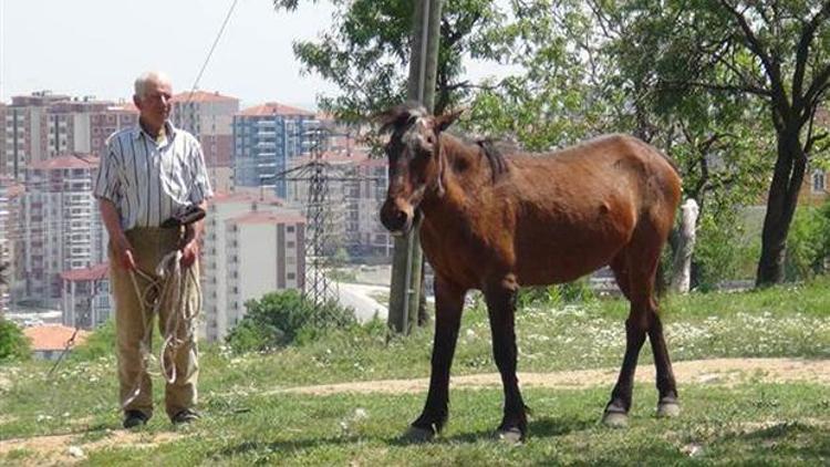 O çoban 5 bin lirayı feda etti