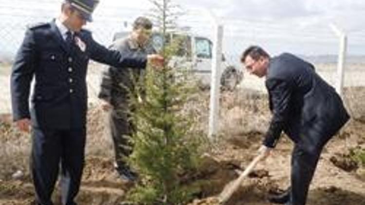 Çubuk polisinden hatıra ormanına fidan