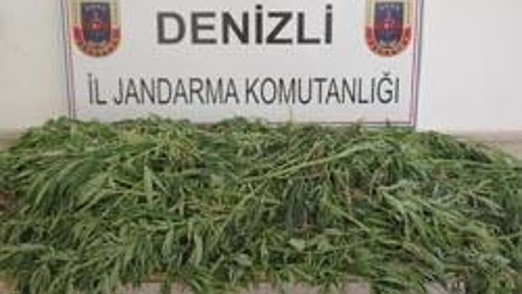 Köyde uyuşturucu operasyonuna 2 gözaltı