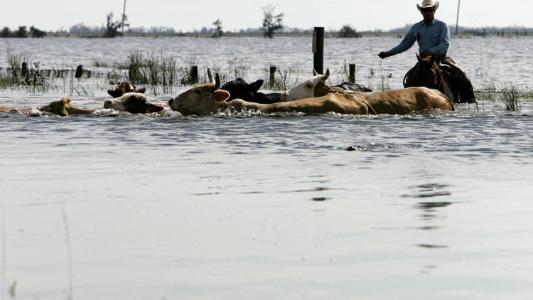 Photo Edition: Aftermath of Hurricane Ike in the U.S.