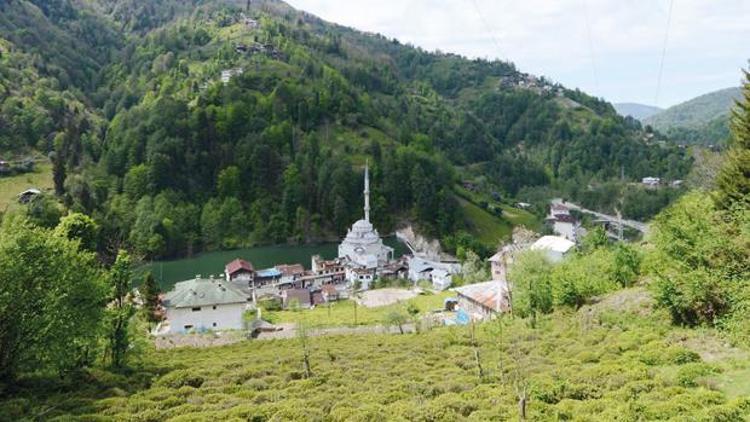 Hemşinde yürütmeyi durdurma