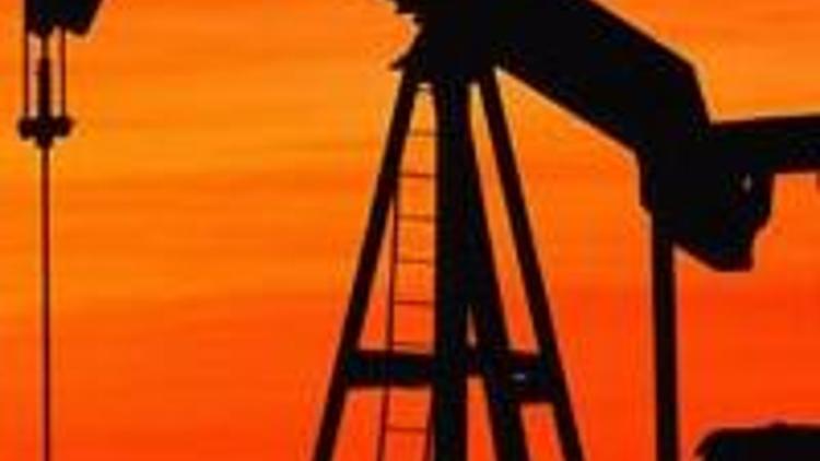 ABDli şirket Güneydoğuda petrol arayacak