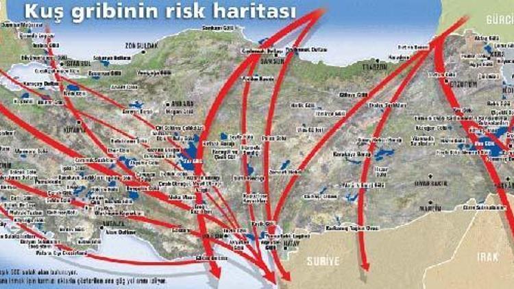 Türkiye göç yollarının tam ortasında