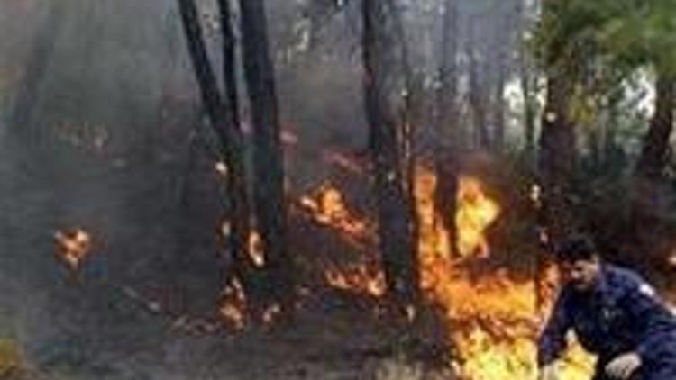 Antalyada 5 ayrı orman yangını