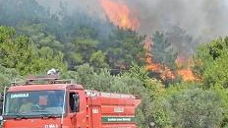 Avrupada en fazla orman yangını Türkiye’de