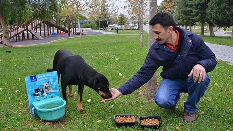 Büyükşehirden sokak hayvanlarına kış desteği