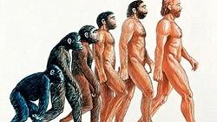 “Evrim teorisi tartışmaları yakında tarihe karışacak”