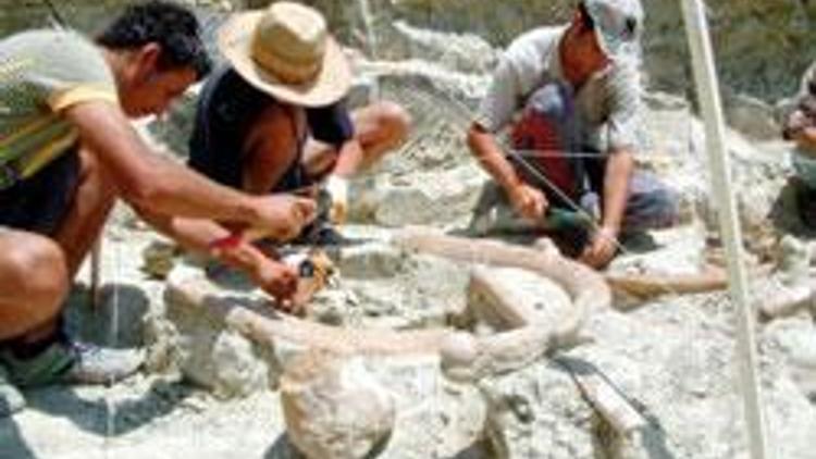 Burdurda 5 milyon yıllık fil fosili Yeni
