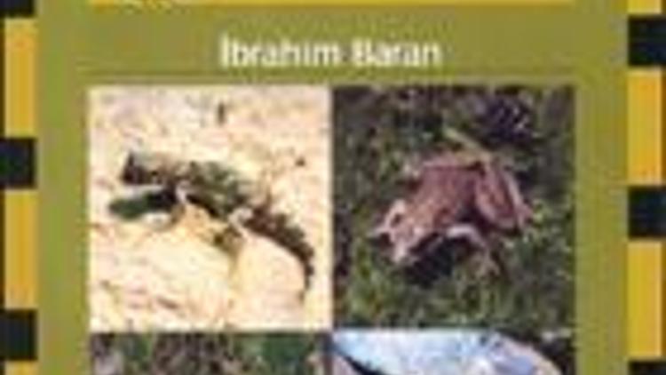 Uludağ’ın kurbağası Urfa’nın kobrası İstanbul’un kertenkelesi