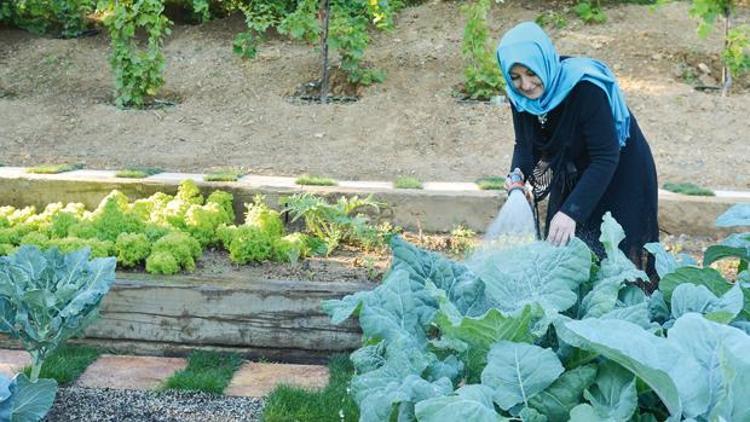 Köşkler flora zengini