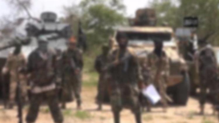 Adamawa eyaletinde 60 kadının kaçırıldığından endişe ediliyor